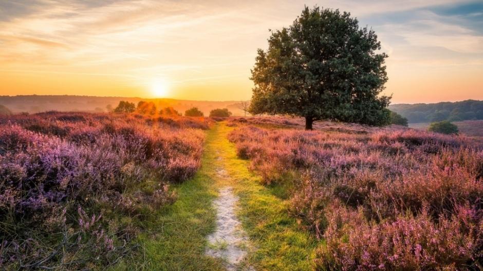 摄影师70年成年后的个人作品，美丽的大自然 - 如需联系拍摄者定制拍摄（自选目的地，风格等），请凭套图购买记录联系站长。